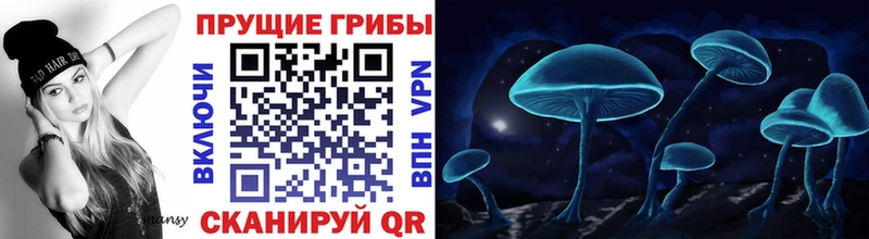 OMG как зайти  Шацк  Галлюциногенные грибы Psilocybe 